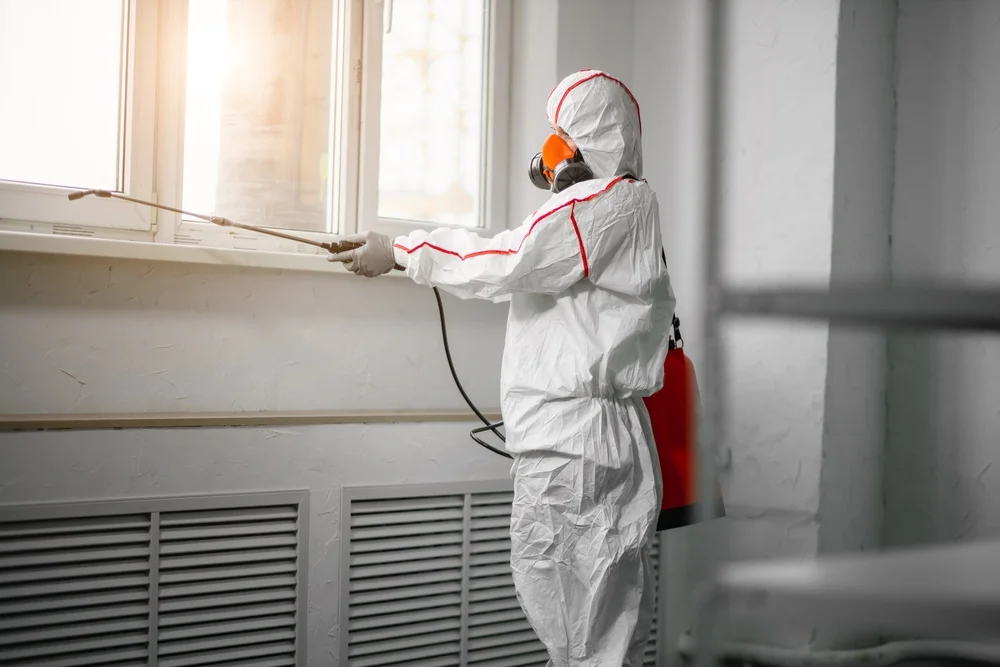 Professional mold remediation services in Highlands, TX